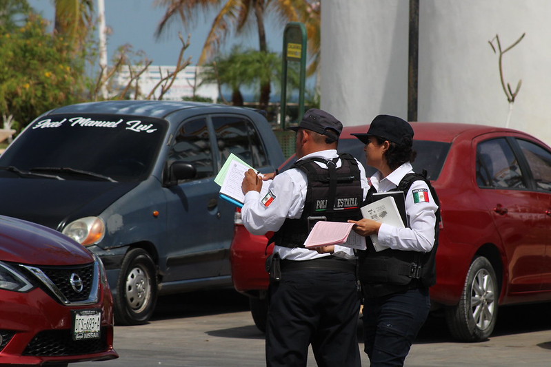 Carmen: Cateo en predio de la colonia Fátima deja tres detenidos; aseguran drogas y un ave silvestre